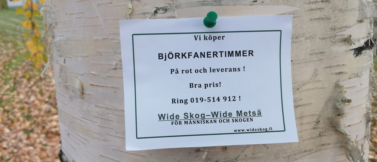 Vi koper bjork
